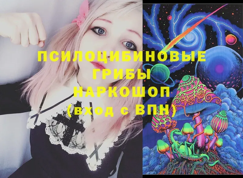 Галлюциногенные грибы Psilocybe  Курск 